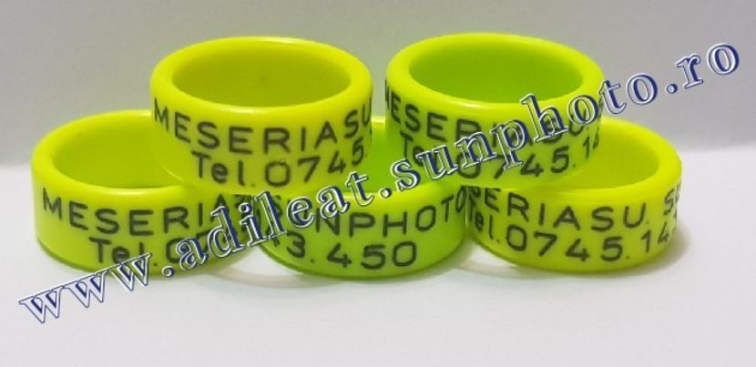 TextArt_190130215719 - 1-A-INELE PERSONALIZATE 2019