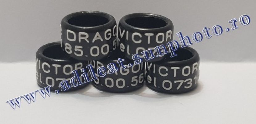 TextArt_190130215706 - 1-A-INELE PERSONALIZATE 2019