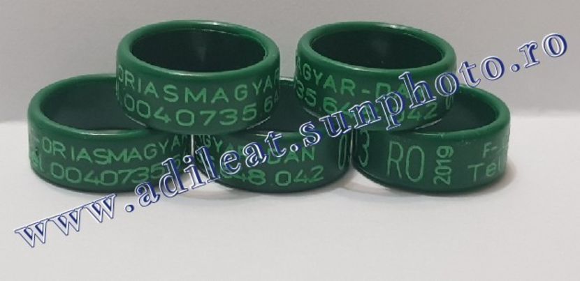 TextArt_190130215740 - 1-A-INELE PERSONALIZATE 2019