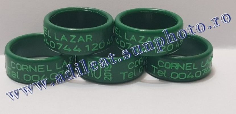 TextArt_190130215729 - 1-A-INELE PERSONALIZATE 2019