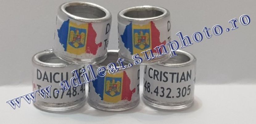 TextArt_190130215753 - 1-A-INELE PERSONALIZATE 2019