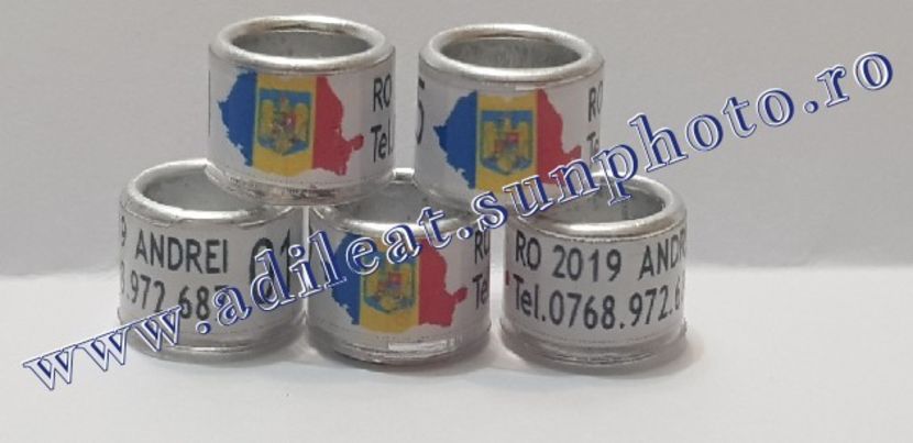 TextArt_190130215815 - 1-A-INELE PERSONALIZATE 2019