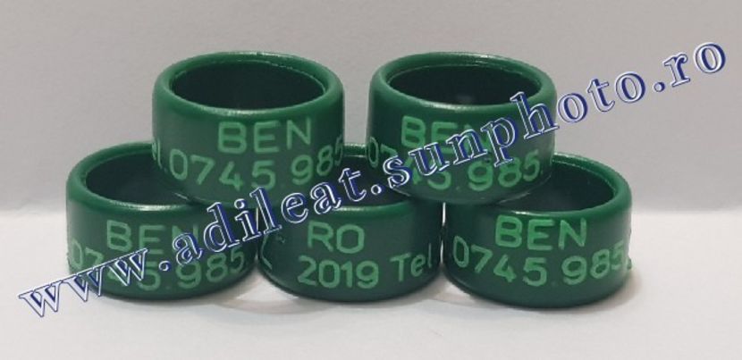 TextArt_190130215654 - 1-A-INELE PERSONALIZATE 2019