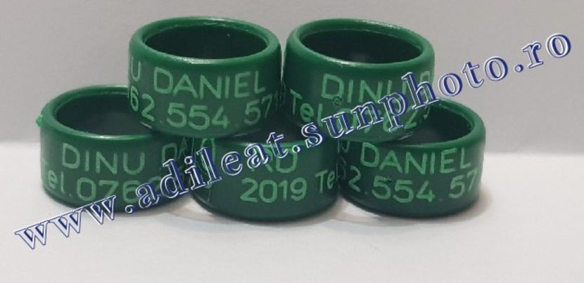 TextArt_190130215643 - 1-A-INELE PERSONALIZATE 2019