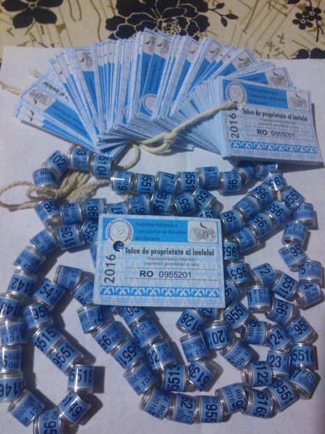 FCI 2016 - Por inele