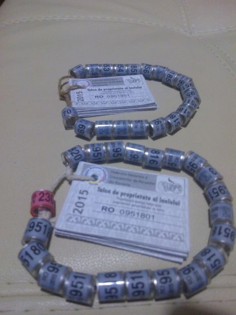 FCI 2015 - Por inele