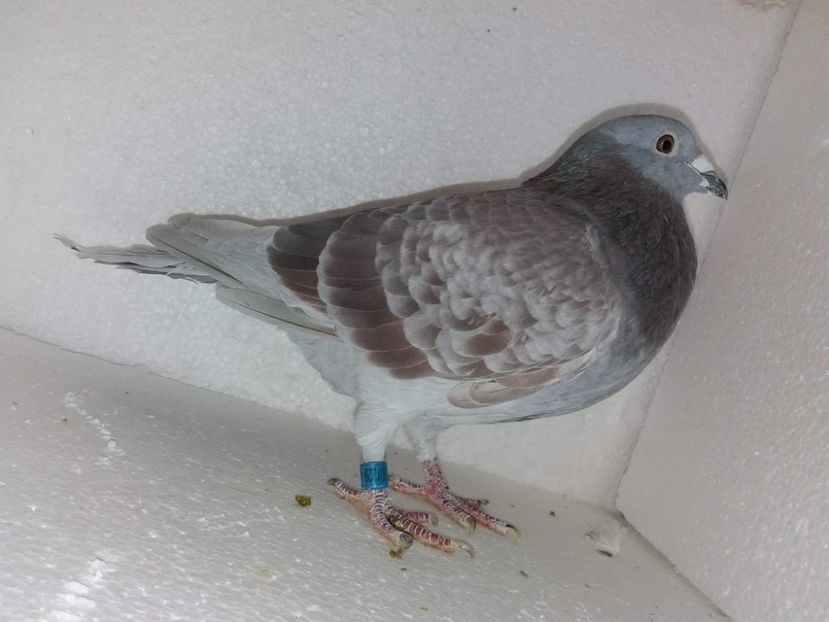 received_1659504904133831 - 2019