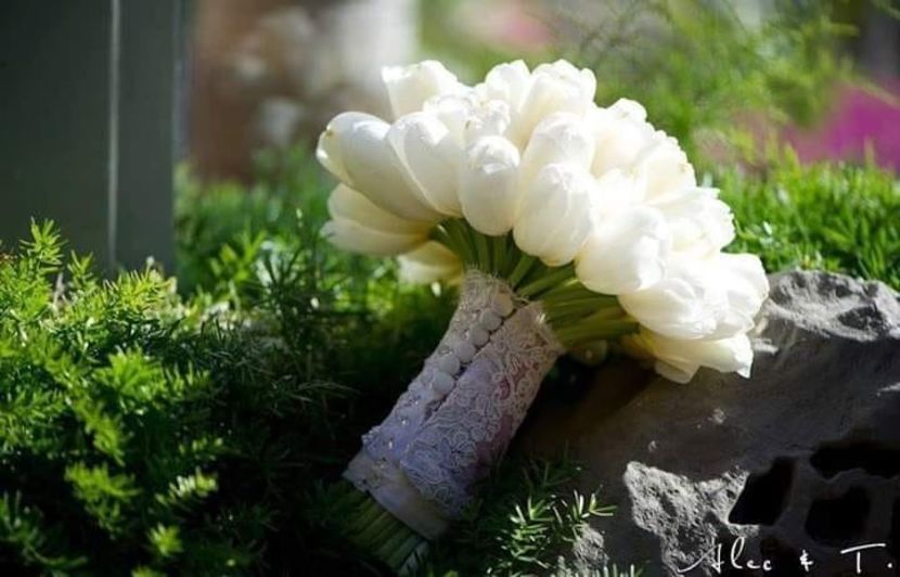 Eurovision 2018 - 2018 Eurovision Song Contest Part 10