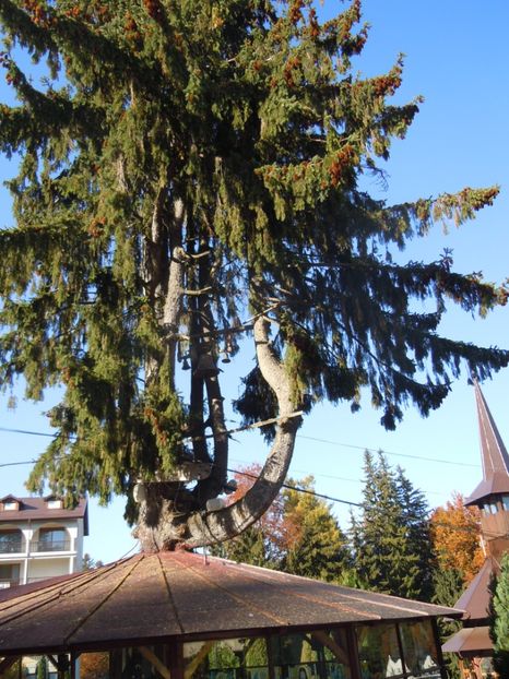 MANASTIREA CARAIMAN BUSTENI 14 OCT 2018 (16) - SINAIA 2018