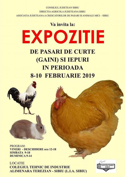  - T--TARGURI SI EXPOZITII