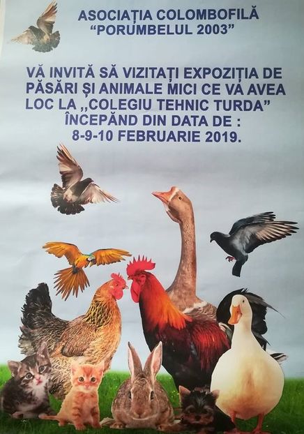 51325184_2061446643976782_5001549910806364160_n (2) - T--TARGURI SI EXPOZITII