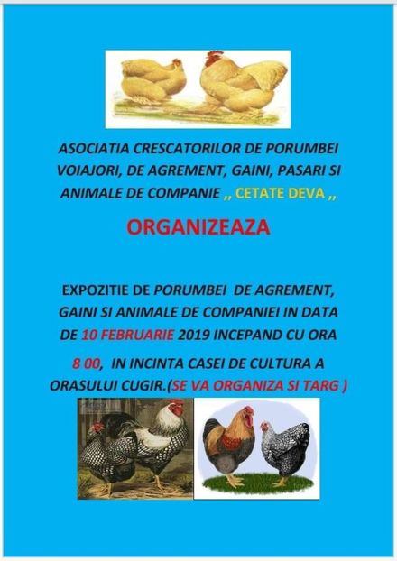 IMG-20190201-WA0000 - EXPOZIȚIA ASOCIAȚIEI CETATE DEVA LA CUGIR ÎN 10 Februarie 2019