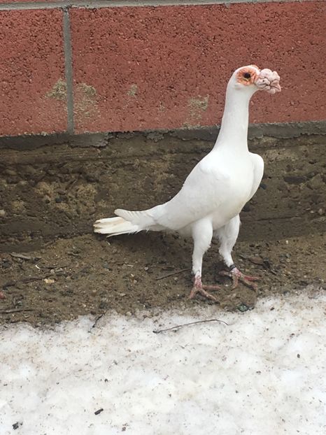 35E42143-35B1-4D27-9772-573C3C18D38D - CARIERI MATCA 2019