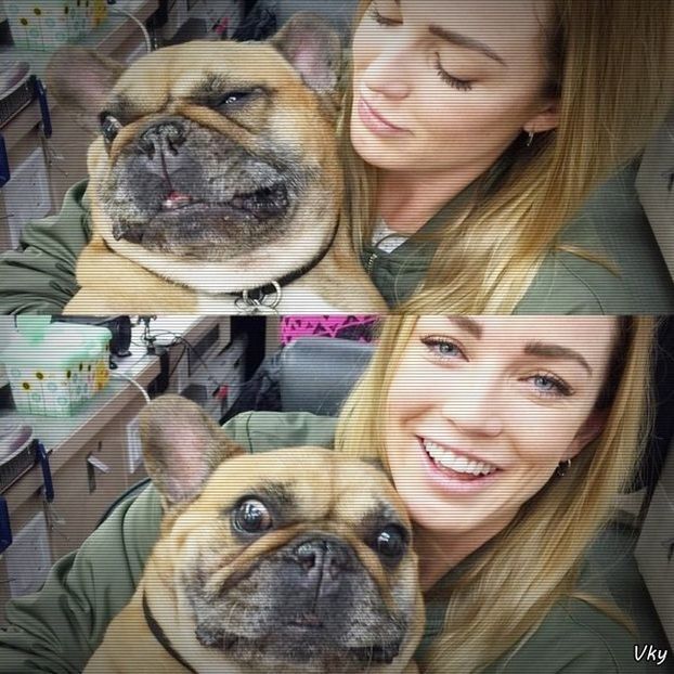 ▬ ❝Iti dai seama, o sa fie nebunie cu un g;y si o bi.❞ Rade mai tare si il ciupeste de f;nd.=))))))) - SO1xE05 Dressing up the truth