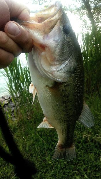  - PESCUIT Pietrafitta lake Provincia Perugia Italia