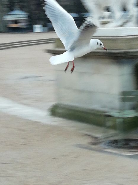  - Paris 2019