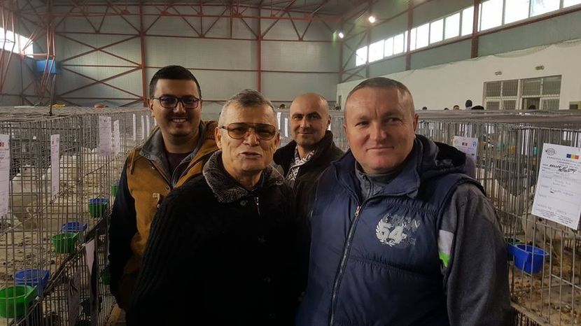  - 2--PORUMBARI PASARARI PRIETENI