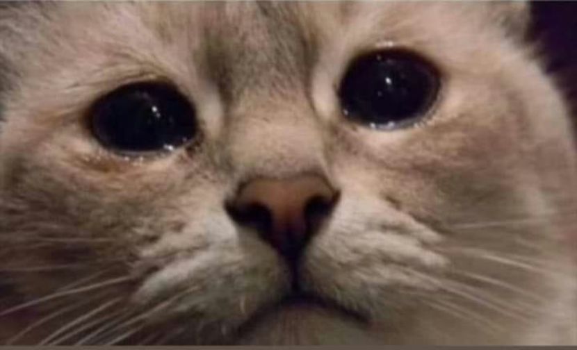 Eurovision 2018 - 2018 Eurovision Song Contest Part 10