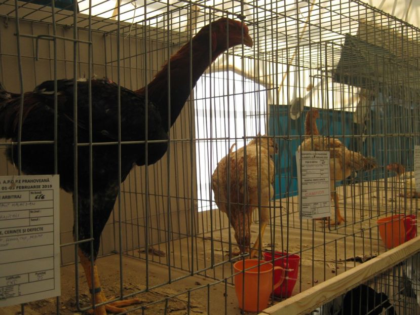  - Vizita Expo Ploiesti febr 2019