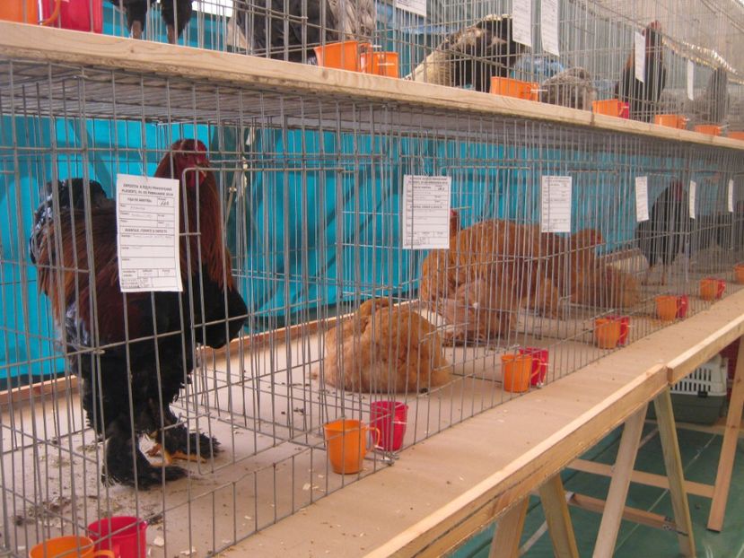  - Vizita Expo Ploiesti febr 2019