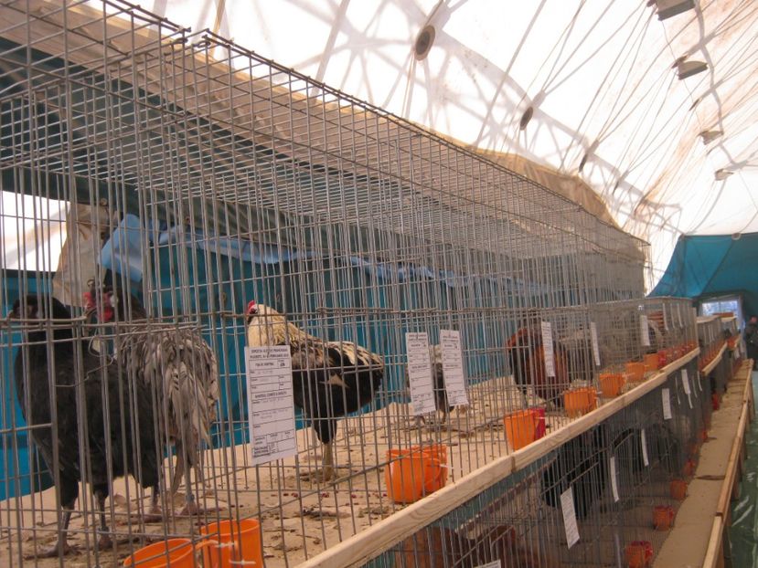  - Vizita Expo Ploiesti febr 2019