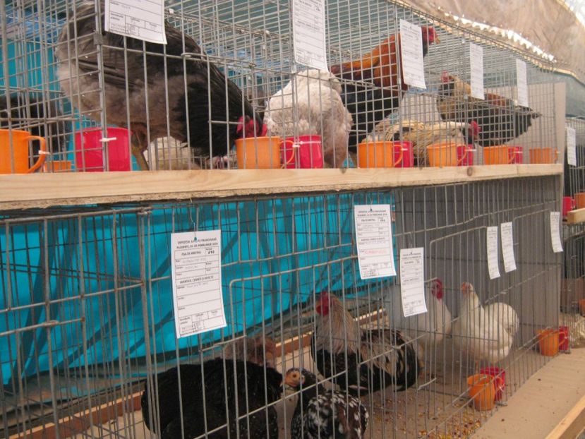  - Vizita Expo Ploiesti febr 2019