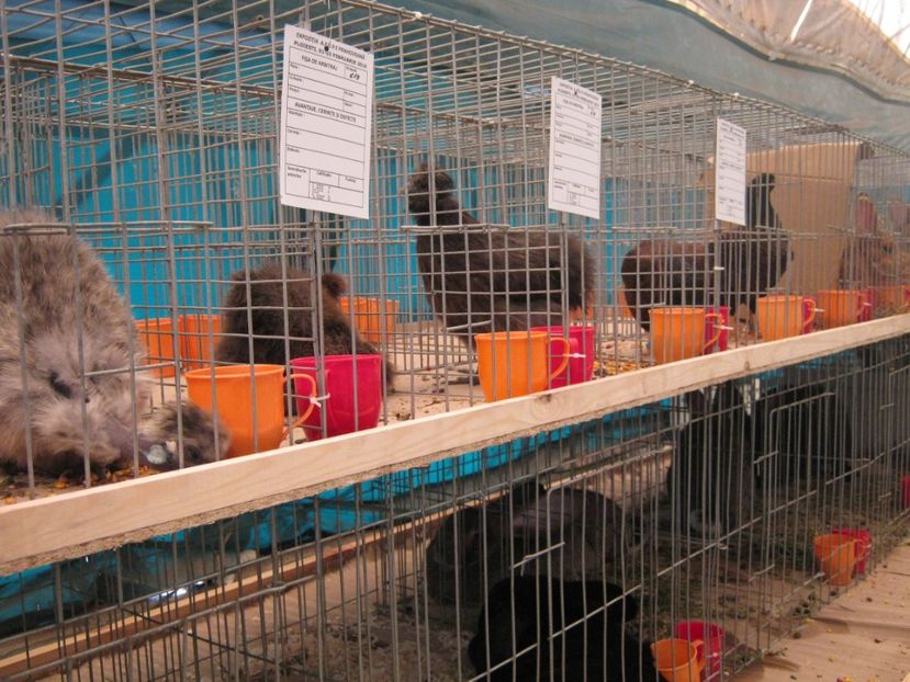  - Vizita Expo Ploiesti febr 2019