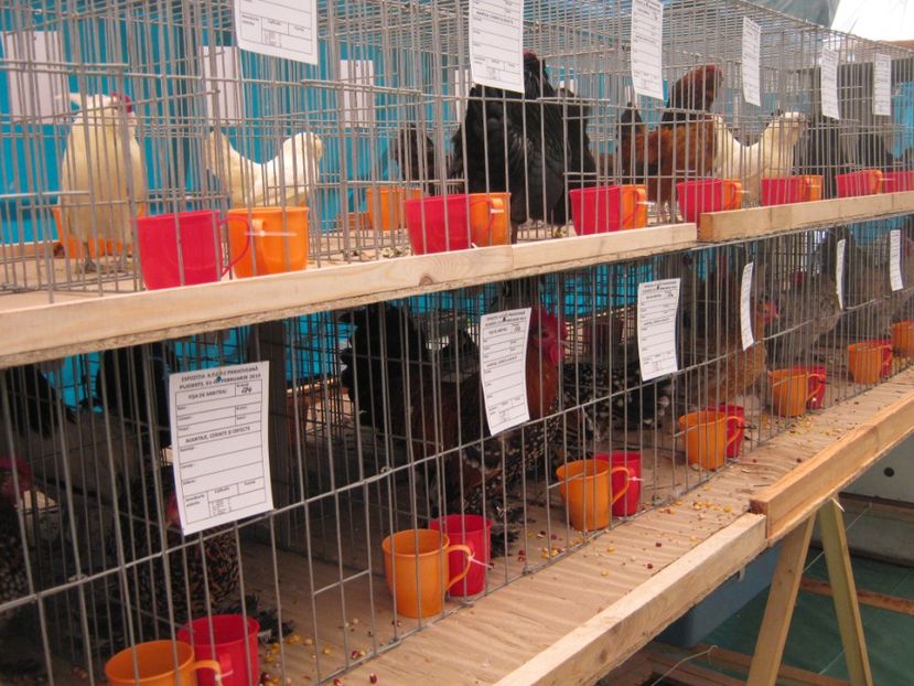  - Vizita Expo Ploiesti febr 2019