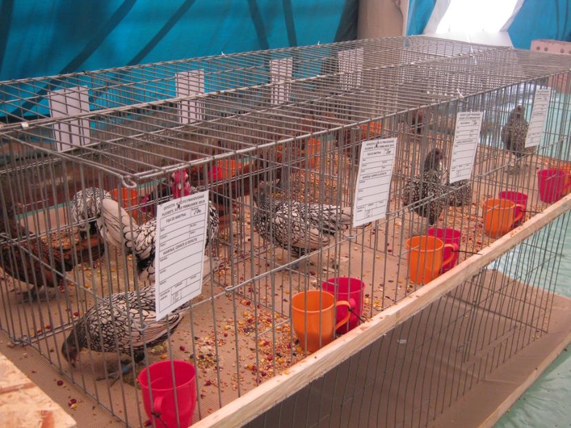  - Vizita Expo Ploiesti febr 2019