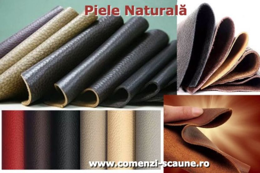 Scaune-directoriale-piele-naturala-CS - Scaune de birou