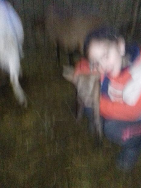  - CAPRE