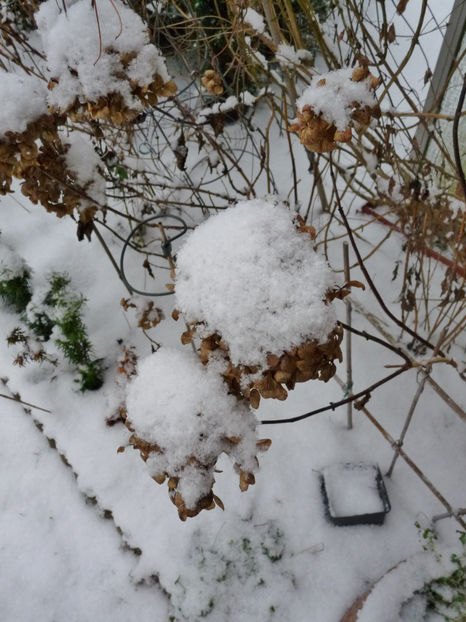 ... la noi doar atat! - 2018 - 04 - 2019 - 00 - Iarna