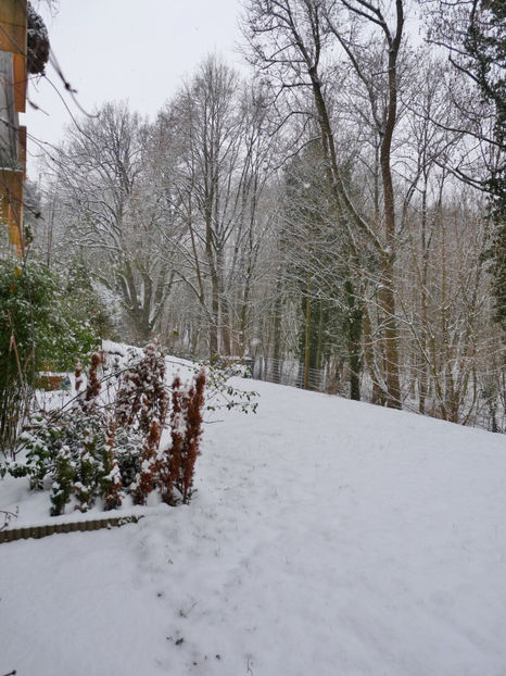24. ian. 2019 - 2018 - 04 - 2019 - 00 - Iarna