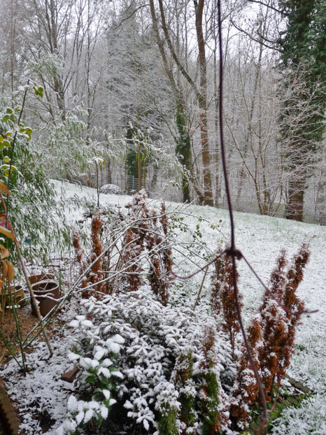 29.12.2018 - 2018 - 04 - 2019 - 00 - Iarna