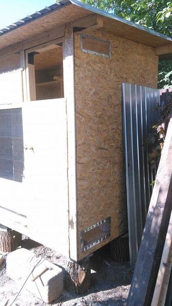  - Voliera noua porumbei 2018 2019