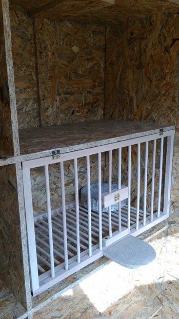  - Voliera noua porumbei 2018 2019