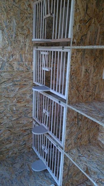  - Voliera noua porumbei 2018 2019