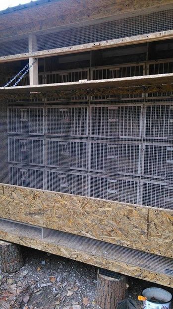  - Voliera noua porumbei 2018 2019