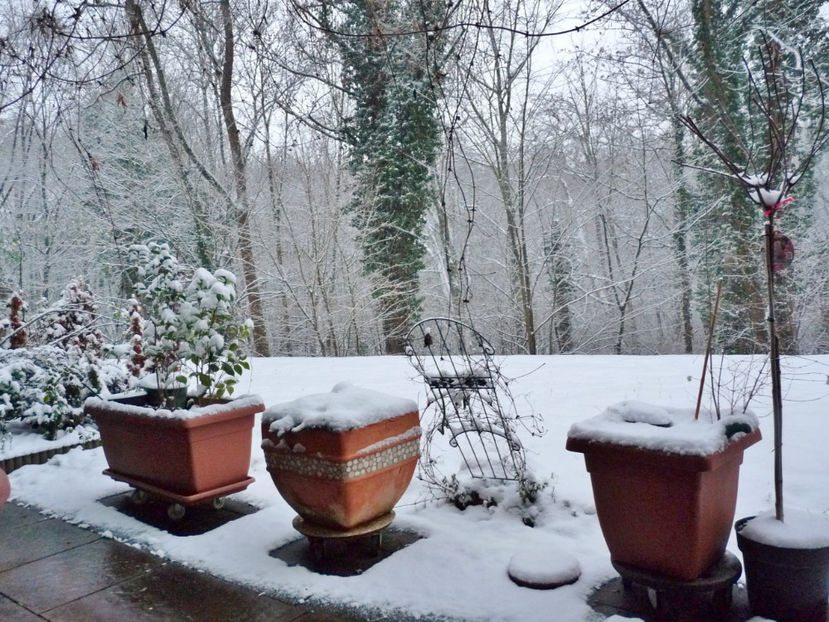 Dupa cateva ore s-a si topit! - 2018 - 04 - 2019 - 00 - Iarna