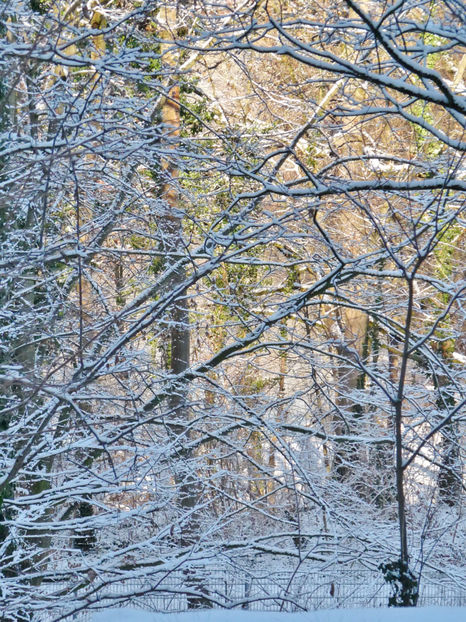 ... a nins un pic,     - 7°C - 2018 - 04 - 2019 - 00 - Iarna
