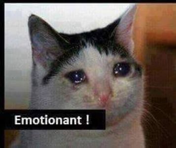 Eurovision 2018 - 2018 Eurovision Song Contest Part 10