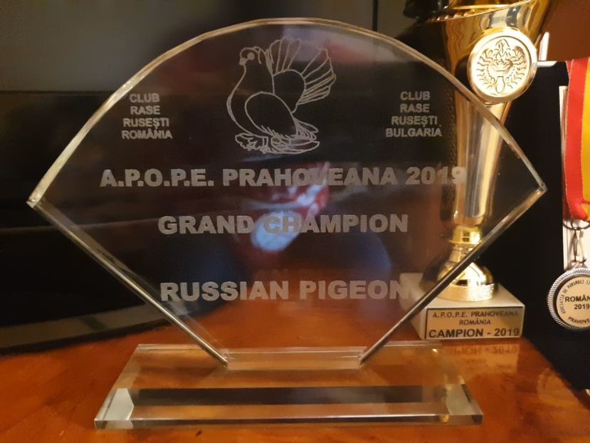 Grand Champion 2019 - Campion România si Bulgaria 2019