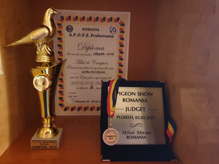 Campion 2019 - Campion România si Bulgaria 2019