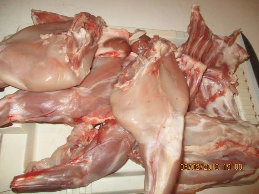 4,20 KG. - SACRIFICARI