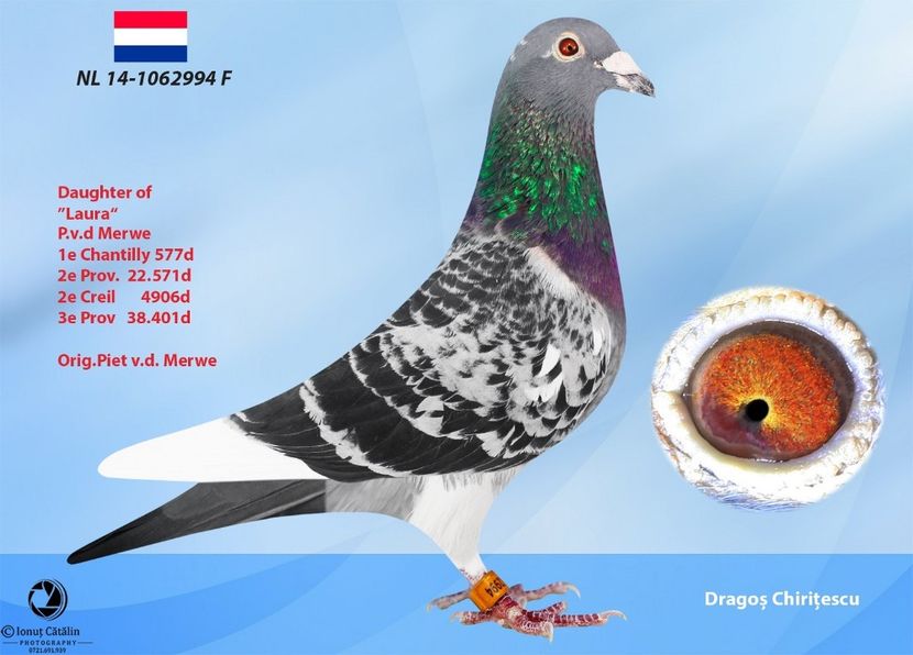 F.  per. 6 - A1 PERECHI MATCA pentru 2019