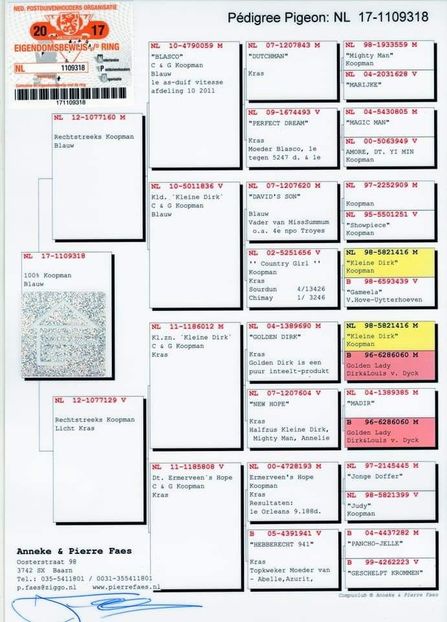 M.  per. 7 - A1 PERECHI MATCA pentru 2019