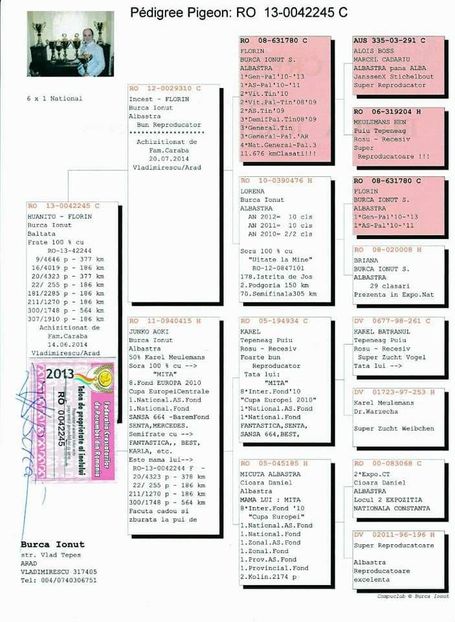 M.  per. 8 - A1 PERECHI MATCA pentru 2019