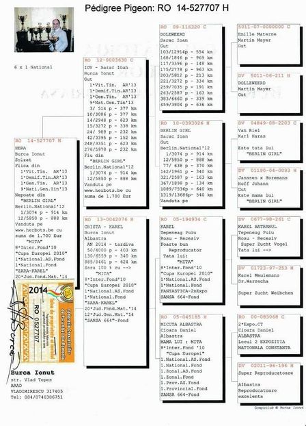 F.  per. 8 - A1 PERECHI MATCA pentru 2019