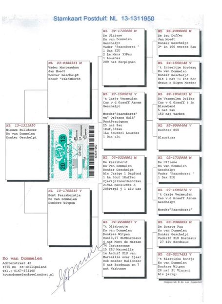 M.  per. 9 - A1 PERECHI MATCA pentru 2019