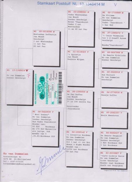 F.  per. 9 - A1 PERECHI MATCA pentru 2019